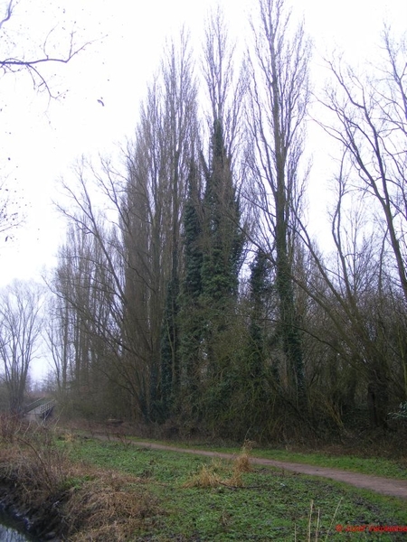DSCF3578
