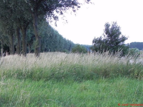 voorbereiding op de Neerbeekvallei