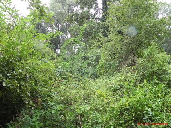 Neerbeekvallei Bissegem13