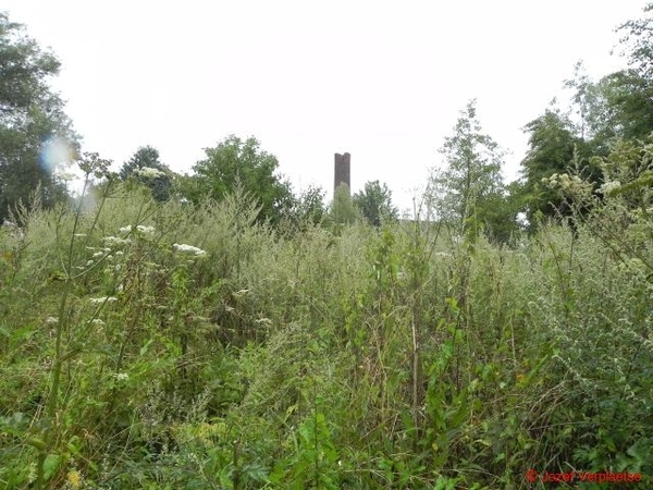 Neerbeekvallei Bissegem15