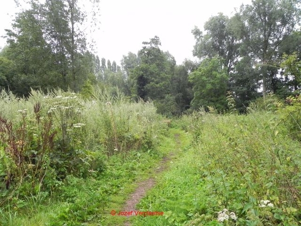 Neerbeekvallei Bissegem20