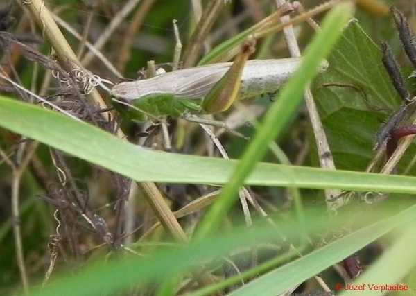 nog niet helemaal los van alle spinrag maar de vrijheid is al dic