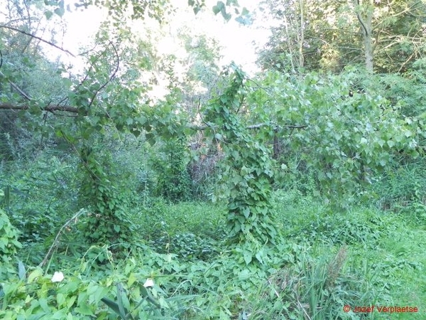 DSCN3960