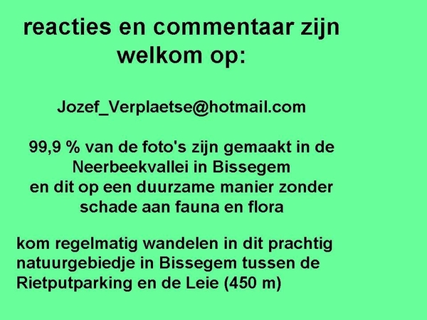 reactie Neerbeekvallei