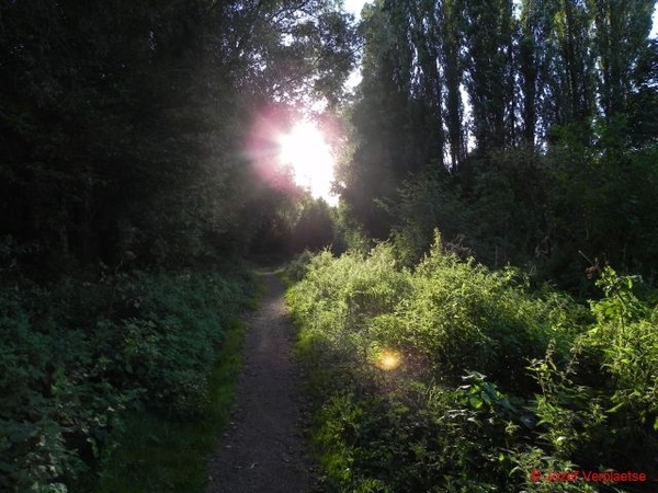 Neerbeekvallei Bissegem 304