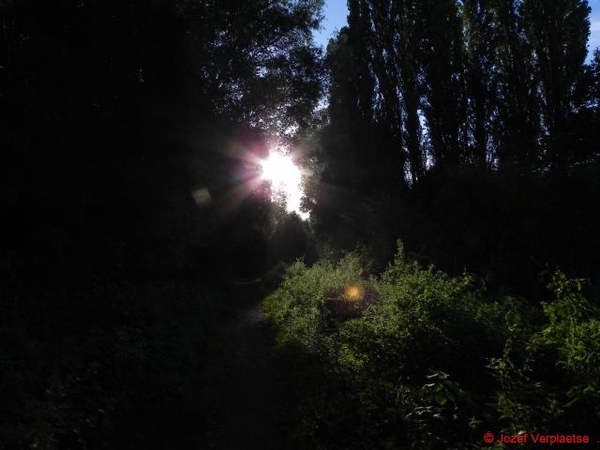 Neerbeekvallei Bissegem 305