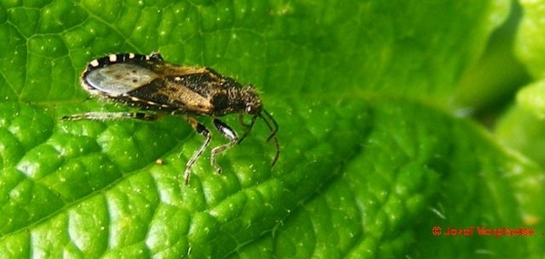 DSCF2831
