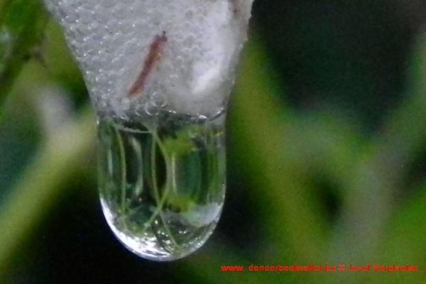 DSCN0024