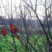 DSC_0121.jpg 12%