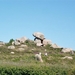 Ploumanach (31)