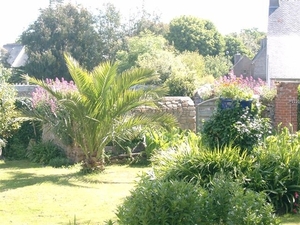 le de Bréhat (8)