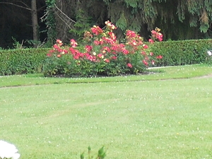CIMG0810