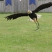 11062010-IMG_0429