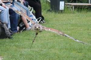 11062010-IMG_0288