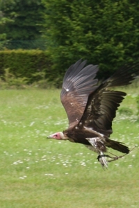 11062010-IMG_0380