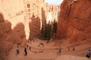 In Bryce Canyon