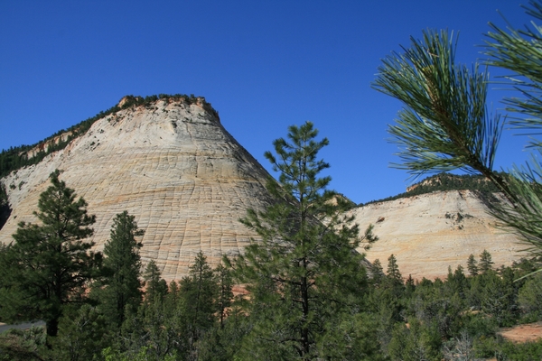 Siera Nevada