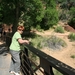 Zion Nat. Park