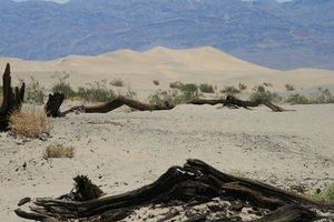 Death Valley