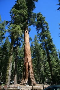 Yosemite Nat. Park