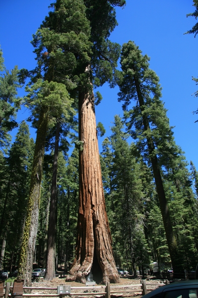 Yosemite Nat. Park