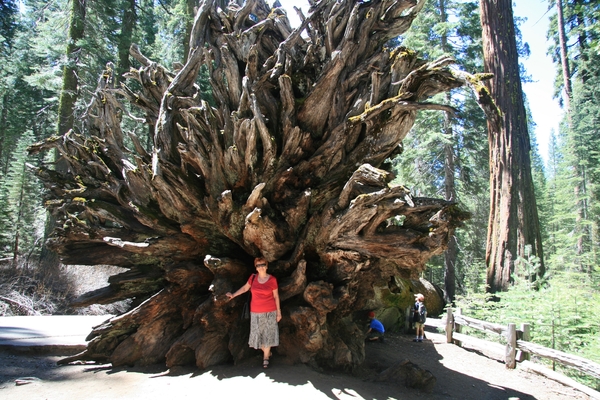 Yosemite Nat. Park