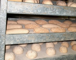 diepvries