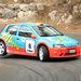 rally-cars-3933_1l