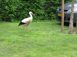 georges du verdon 133