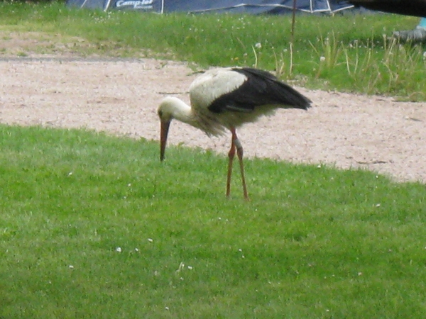 georges du verdon 134