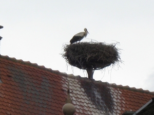 georges du verdon 135