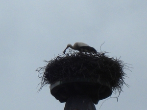 georges du verdon 138