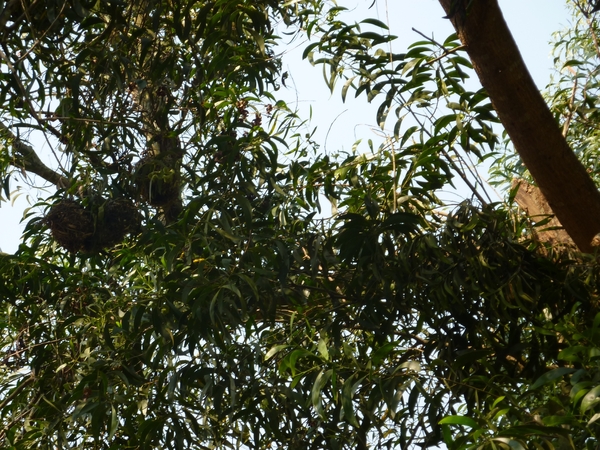 P1000855