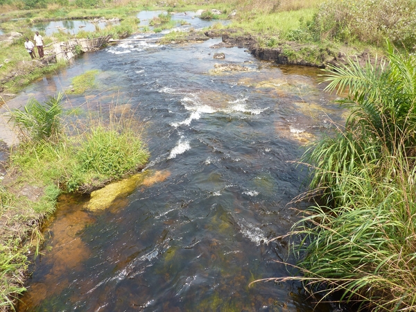 P1000860