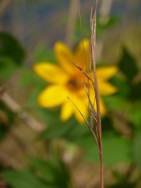 P1000862