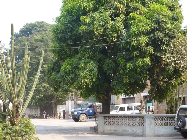 P1000952