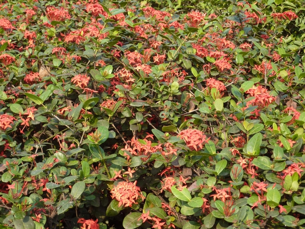 P1000956