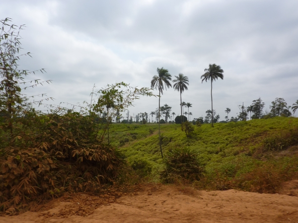 P1000973