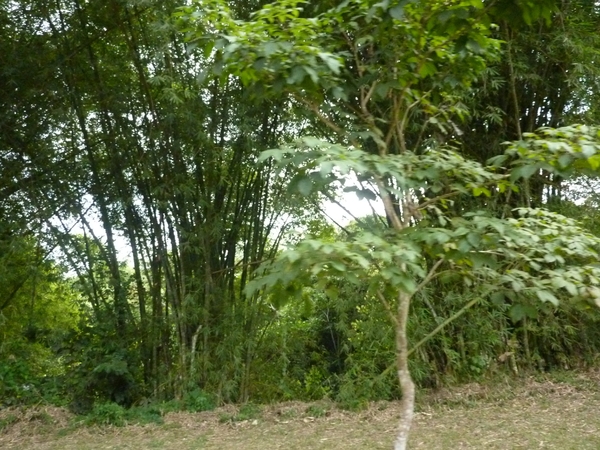 P1000976
