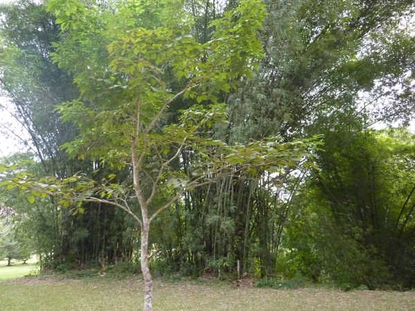 P1000978