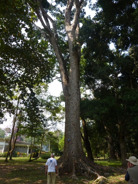 P1000985
