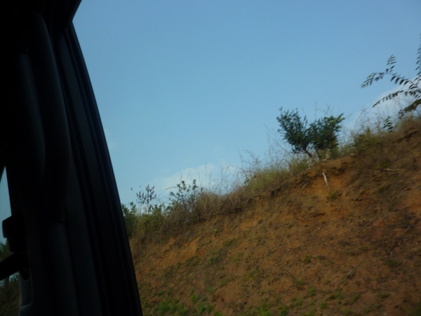 P1010016