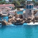 Seaworld San Diego zomer 2003