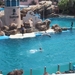 Seaworld San Diego