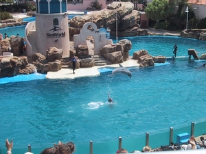 Seaworld San Diego