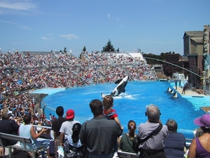 Seaworld San Diego