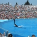 Seaworld San Diego