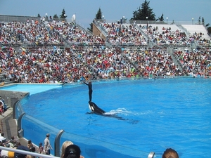 Seaworld San Diego