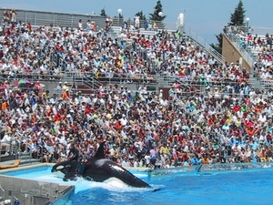 Seaworld San Diego