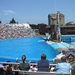 Seaworld San Diego